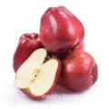 SUPER QUALITY FRESH TIANSHUI HUANIU APPLE